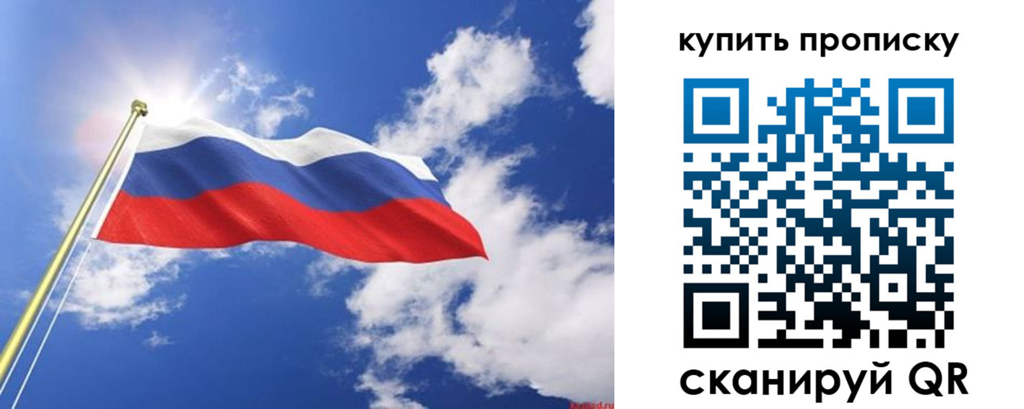 прописка от собственника в Новом Осколе